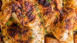 这鸡肉最好吃的鸡肉是最好吃的烤烤牛肉。所有的烤烤牛肉都是烤牛肉的肉，还有大蒜酱酱。美味的美味可口的鸡肉！是维纳娜·纳维娜